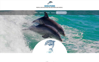 Dolphin Multipurpose Landing Page Template