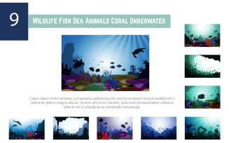 9 Wildlife Fish Sea Animals Coral Underwater