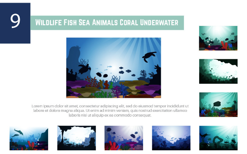 9 Wildlife Fish Sea Animals Coral Underwater Illustration