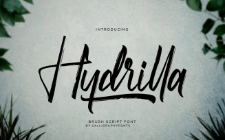 Hydrilla Textured Brush Font