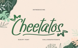 Cheetatos Fun Handwriting Font