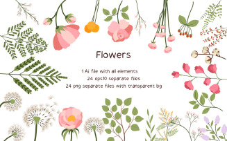 Flowers Collection Set Of 24 EPS PNG Vectors
