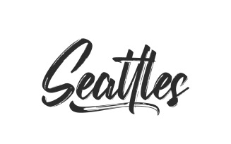 Seattles Textured Brush Script Font