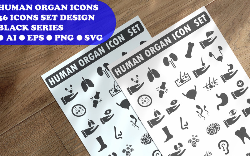 Human Organ Icon Set Template