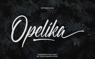 Opelika Stunning Calligraphy Font
