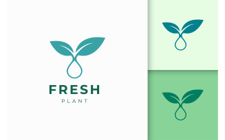 Plant oil logo template for health care