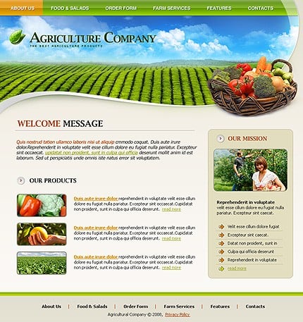 Website Template #20276