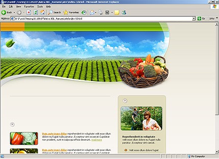 Website Template #20276