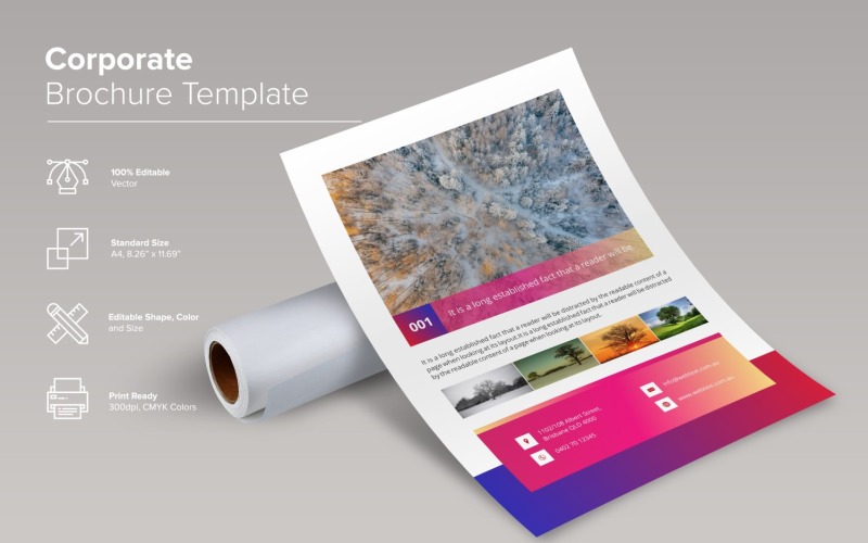 Corporate Brochure Design Template Corporate Identity