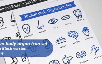 Human Body Organ Icon Set
