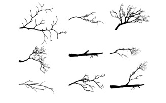 Vector Set of Dry Tree Branches