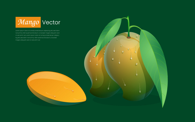 Mango Realistic Vector Design Concept Illustration