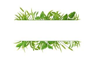 Grass Leaves Realistic 2 Vector Illustration Concept