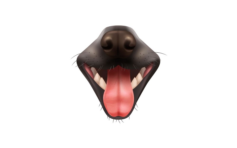 Realistic Dog Open Mouth Vector Illustration Concept