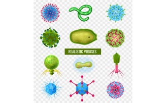 Realistic Viruses Transparent Vector Illustration Concept