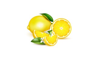 Lemon Realistic Composition Vector Illustration Concept