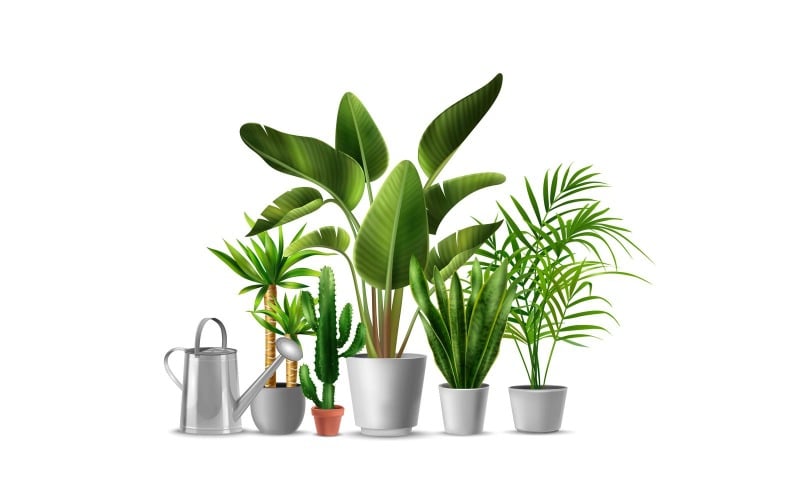 Realistic Green Home Plant 3 Vector Illustration Concept