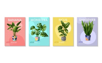 Realistic Green Home Plant Posters Vector Illustration Concept