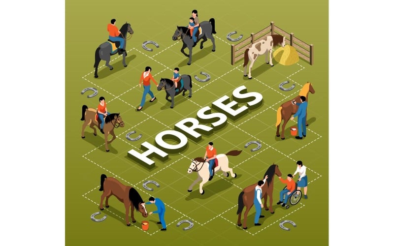 Isometric Horse Hippotherapy Flowchart Vector Illustration Concept