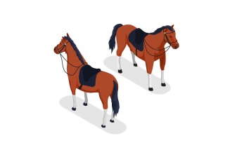 Equestrian Sport Isometric 3 Vector Illustration Concept