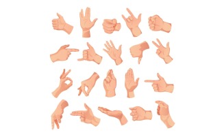 Human Hands Set Vector Illustration Concept