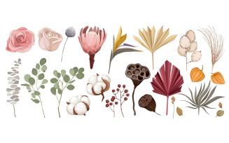 Dried Flowers Leaves Boho Set Vector Illustration Concept