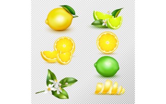 Lemon Lime Realistic Transparent Vector Illustration Concept