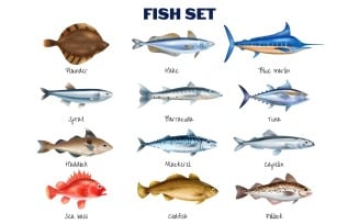 Realistic Fish Set Vector Illustration Concept