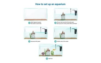 Aquarium Equipment Set Up Realistic Infographics Vector Illustration Concept