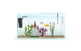 Aquarium Fish Equipment Realistic Composition 3 Vector Illustration Concept