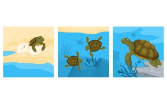 Turtle Life Cycle Design Concept Vector Illustration Concept