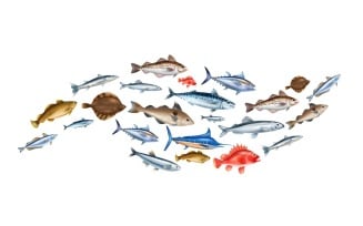 Realistic Fish Vector Illustration Concept