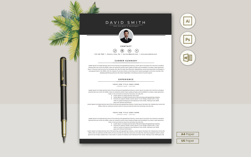 Professional Resume CV Template Design Vol 3 Resume Template