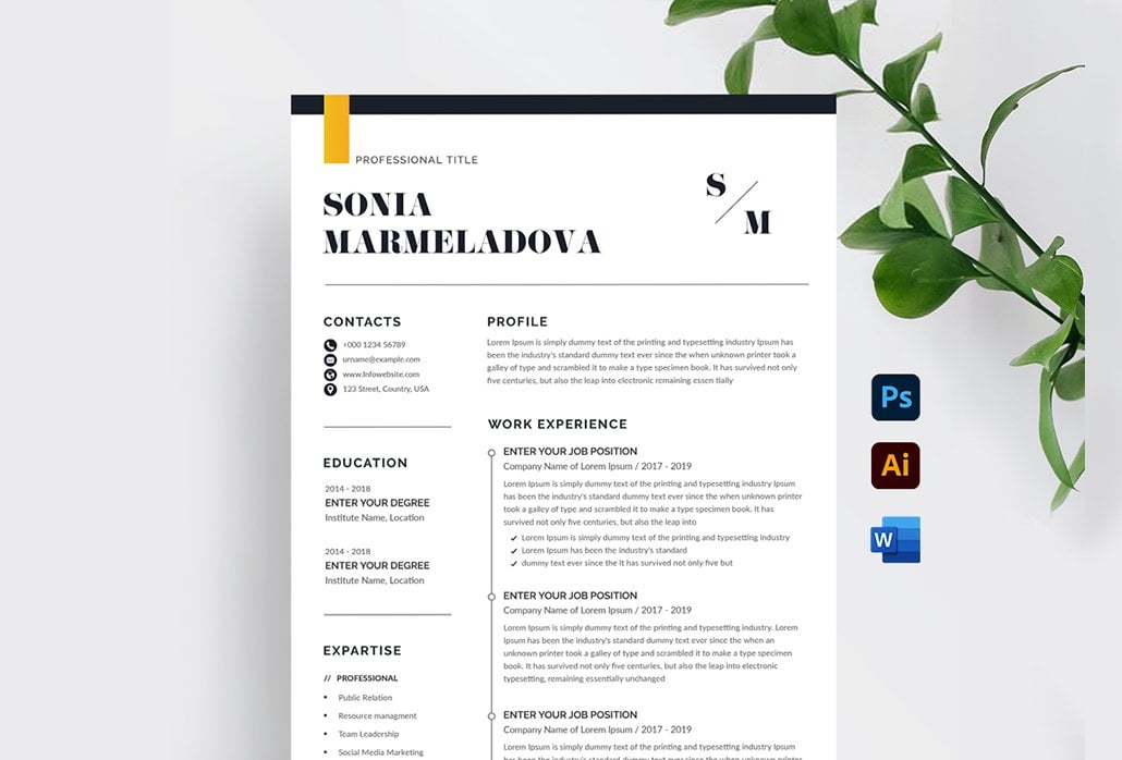 Template #207652 Page Resume Webdesign Template - Logo template Preview