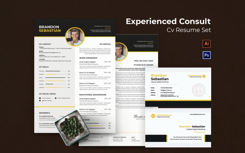 Experienced Consultant CV Resume Resume Template