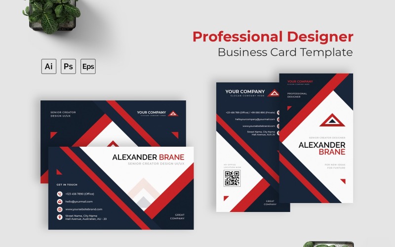 Professional Designer Business Card Corporate Identity