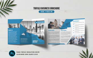Business Trifold Brochure Corporate Identity Template