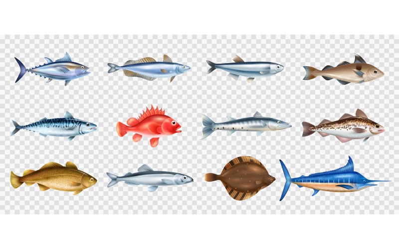 Realistic Fish Transparent Set 210330516 Vector Illustration Concept