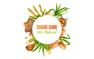 Realistic Sugar Cane Illustration 210330532 Vector Illustration Concept