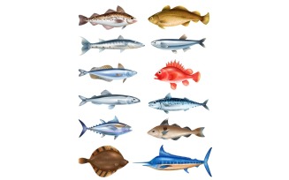 Realistic Sea Fish Set 210330515 Vector Illustration Concept