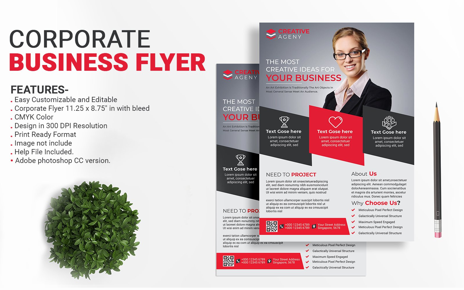 Template #209412 Business Flyer Webdesign Template - Logo template Preview