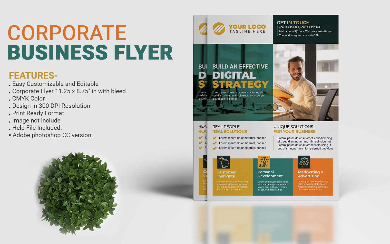 Template #209413 Business Flyer Webdesign Template - Logo template Preview