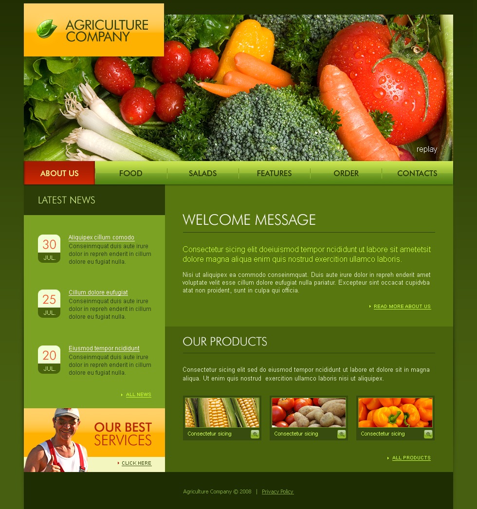 vegetable-website-template-21008