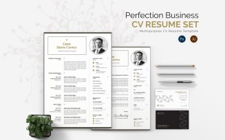 Perfection Business CV Resume Set