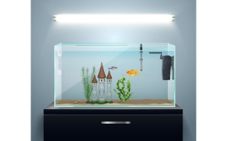 Aquarium Fish Equipment Realistic Composition 210321107 Vector Illustration Concept