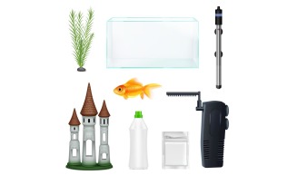 Aquarium Fish Equipment Realistic Set 210221109 Vector Illustration Concept