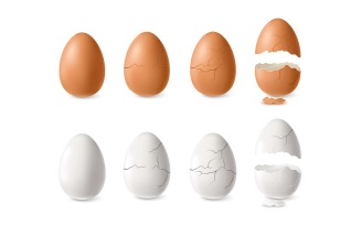 Realistic Cracked Egg 210230506 Vector Illustration Concept