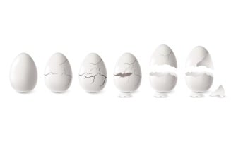 Realistic Cracked Egg Set 210230501 Vector Illustration Concept