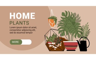 Home Plants Horizontal Banner 210160534 Vector Illustration Concept