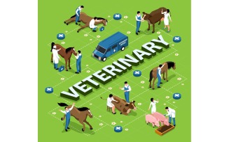 Isometric Veterinary Flowchart 210110531 Vector Illustration Concept